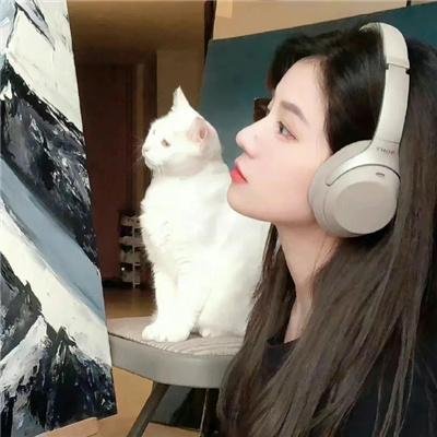 键盘侠